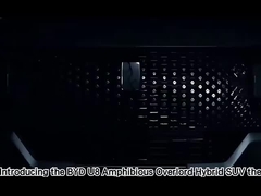 Ταξιδιωτικά οχήματα δεξιόχειρας οδήγηση οχήματα BYD Dolphin hatchback